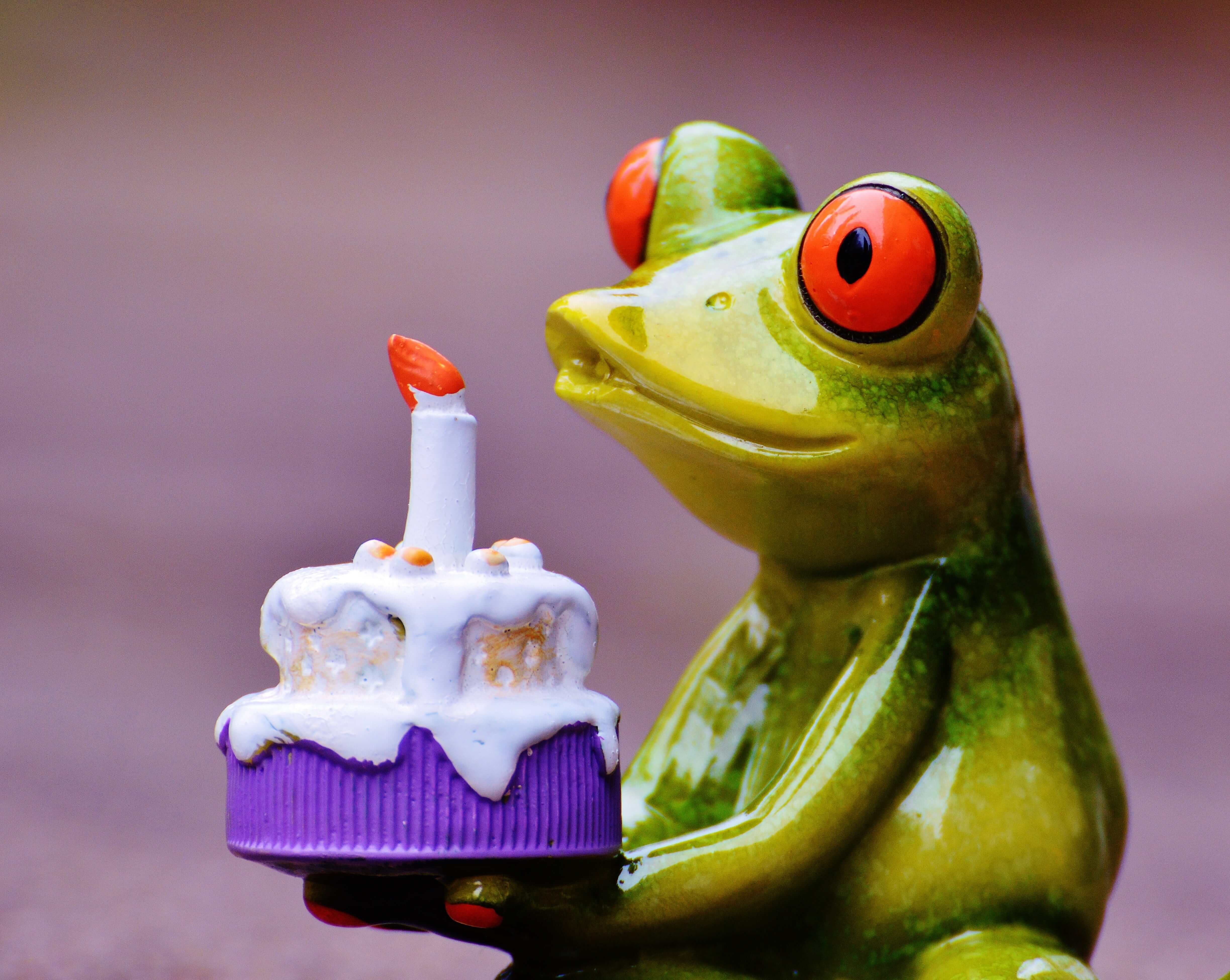 Idee Regalo Compleanno